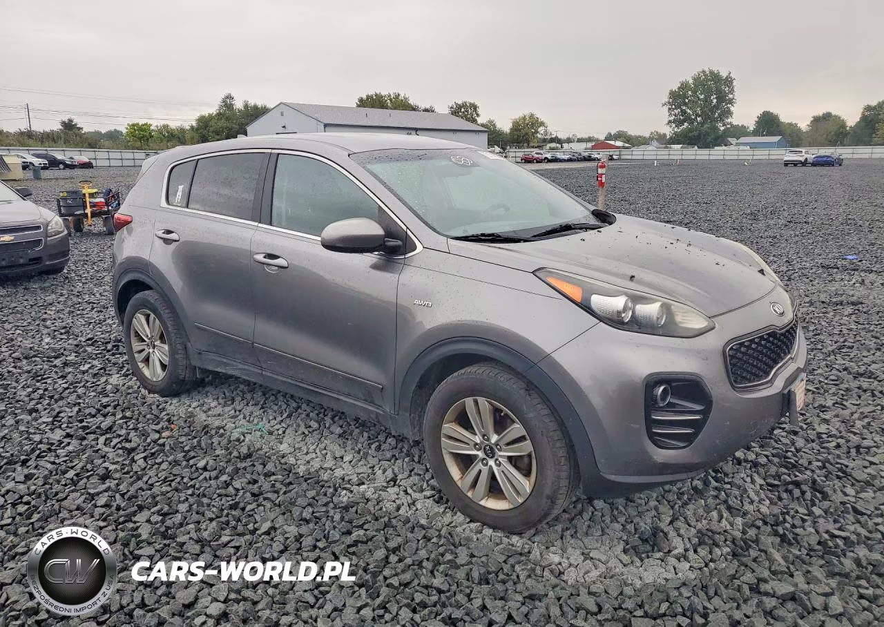 2017 Kia Sportage Lx VIN:KNDPMCAC7H7065332 - 4