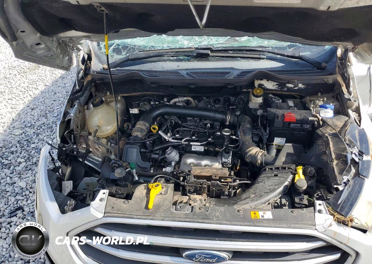 2018 Ford Ecosport Se VIN:MAJ3P1TE8JC241638 - 12