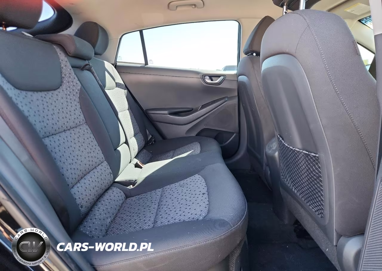 2017 Hyundai Ioniq Sel VIN:KMHC75LC2HU049194 - 10