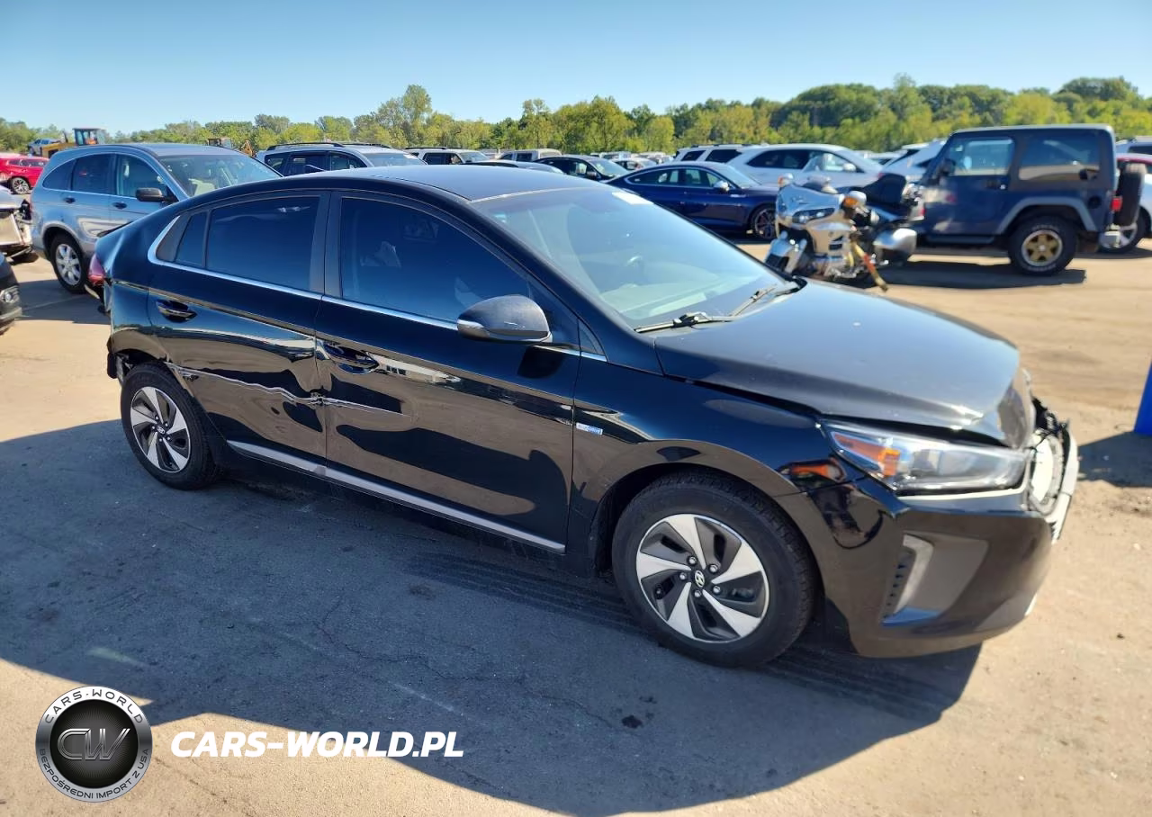 2017 Hyundai Ioniq Sel VIN:KMHC75LC2HU049194 - 4