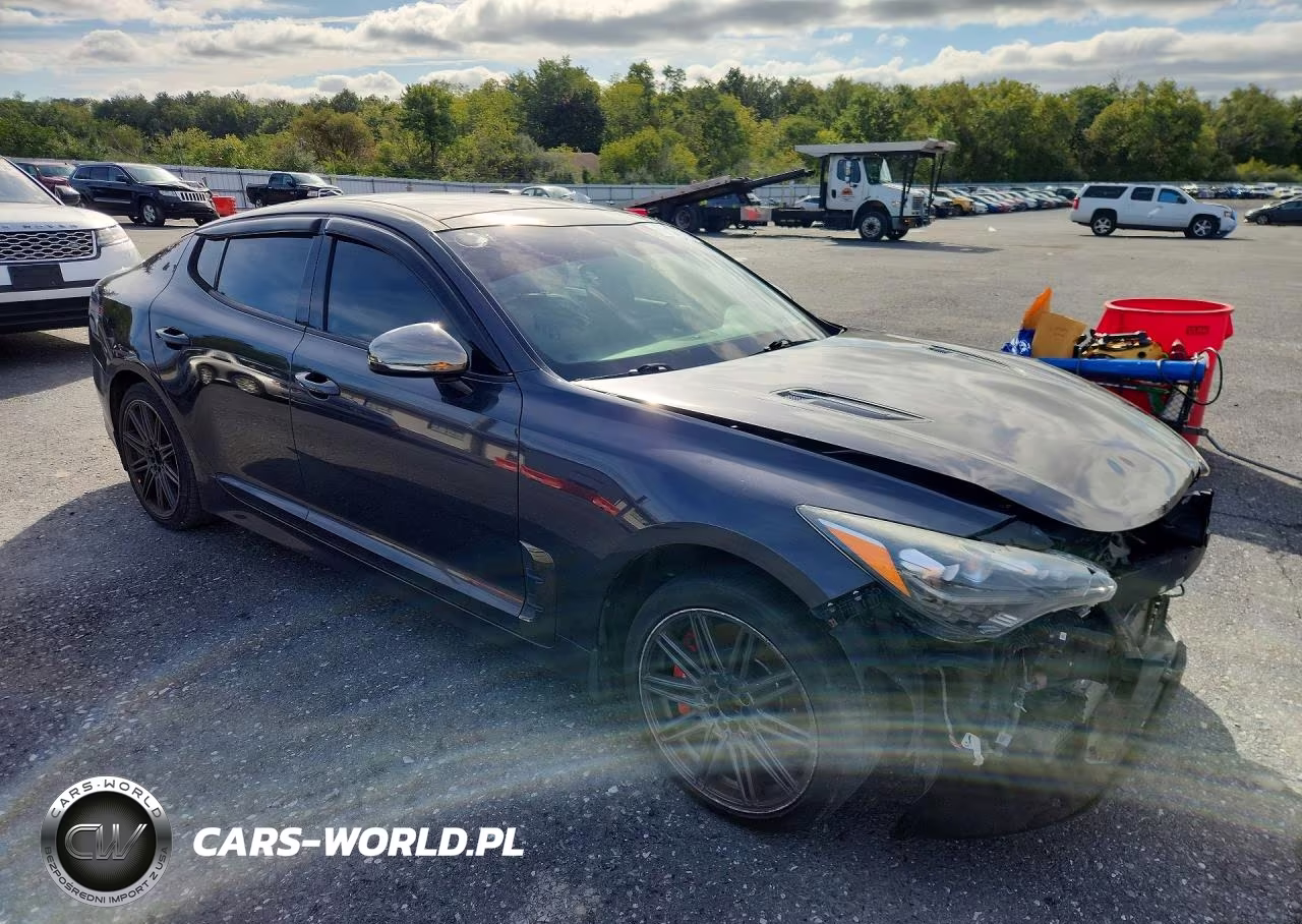 2018 Kia Stinger Gt1 VIN:KNAE45LC5J6029941 - 4