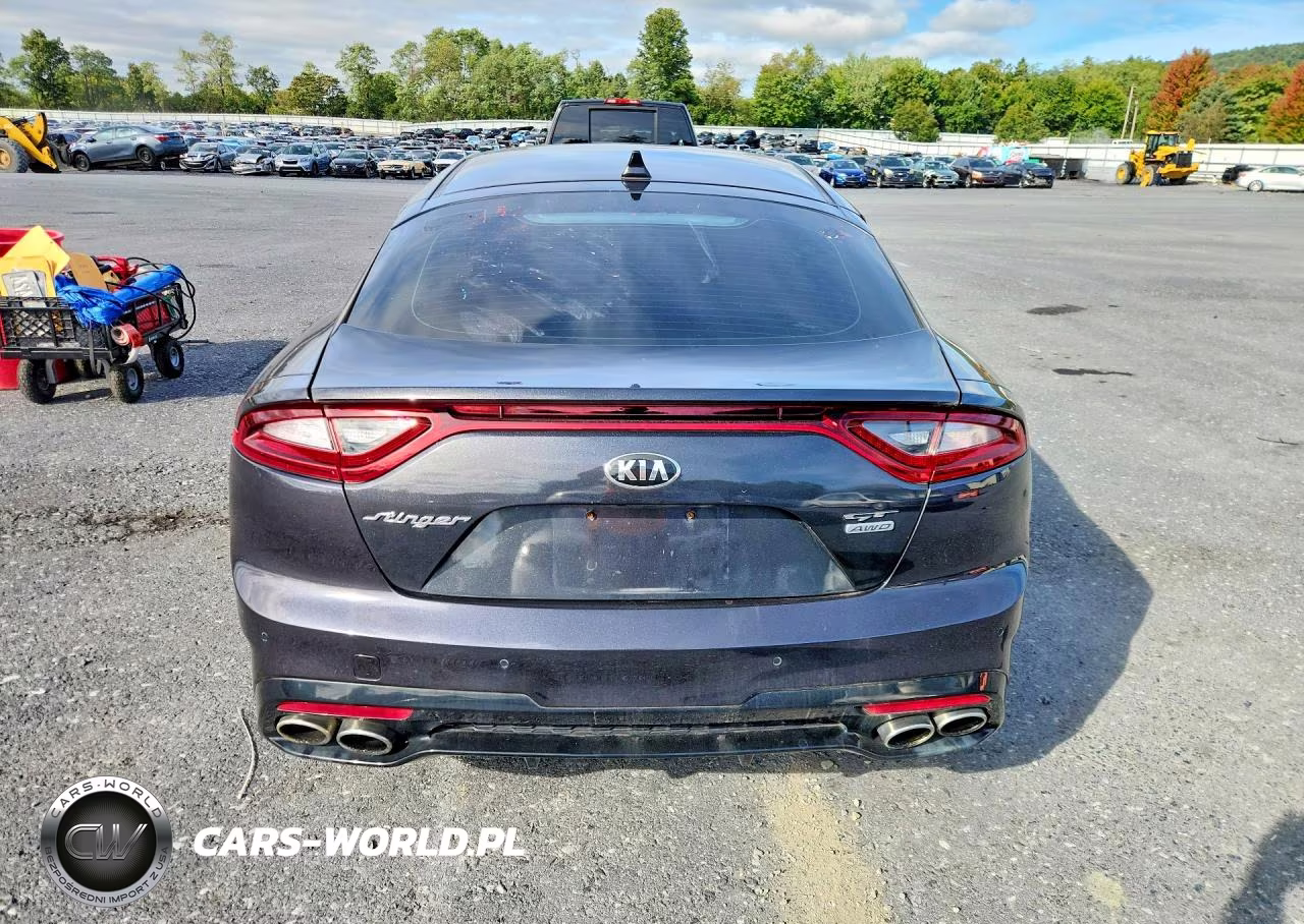 2018 Kia Stinger Gt1 VIN:KNAE45LC5J6029941 - 6