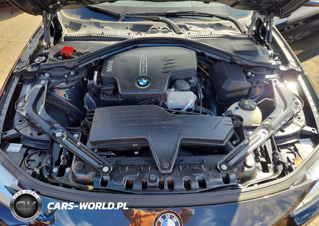 2015 BMW 428 Xi Sulev VIN:WBA3T1C54FP819723 - 11