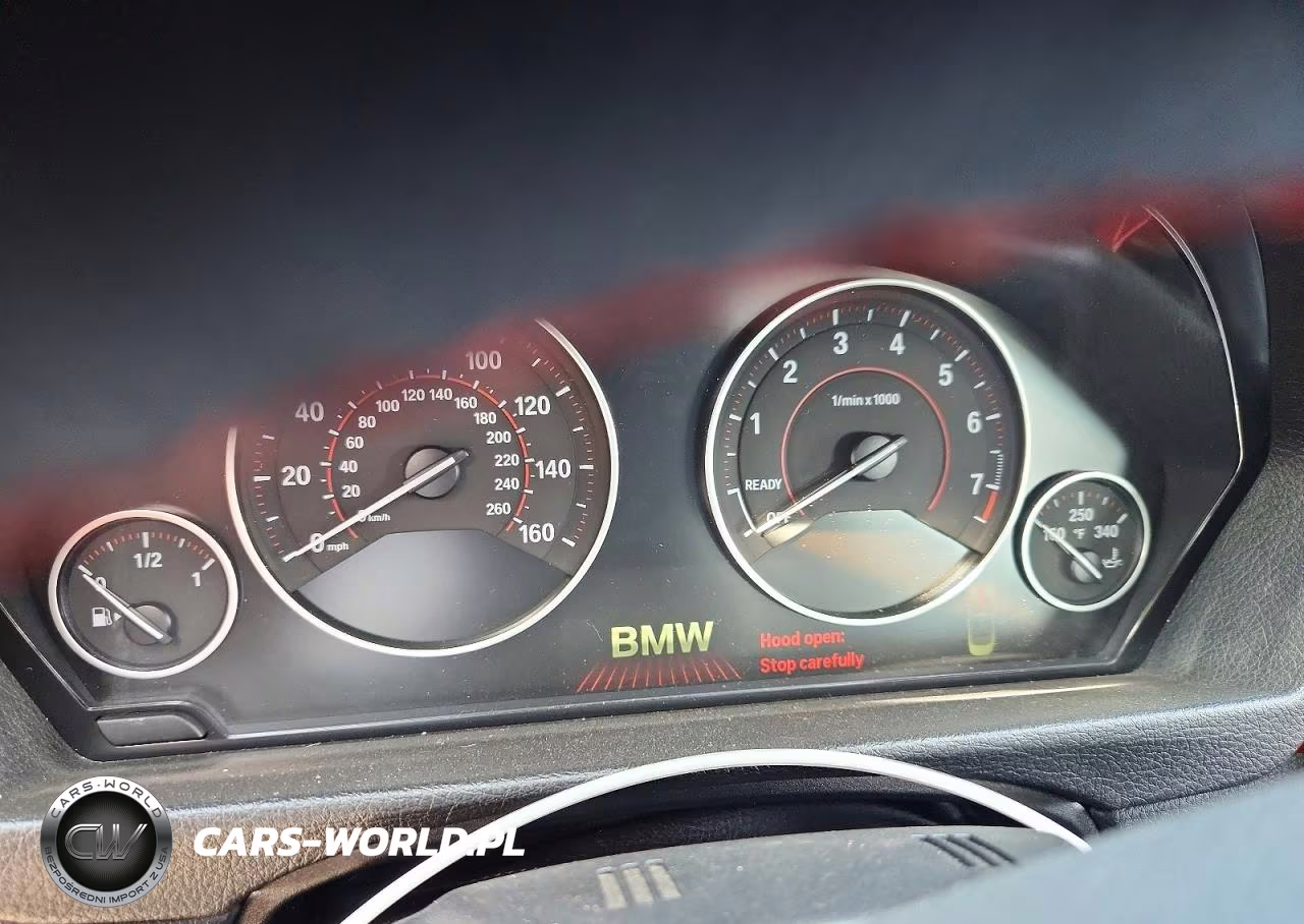 2015 BMW 428 Xi Sulev VIN:WBA3T1C54FP819723 - 9