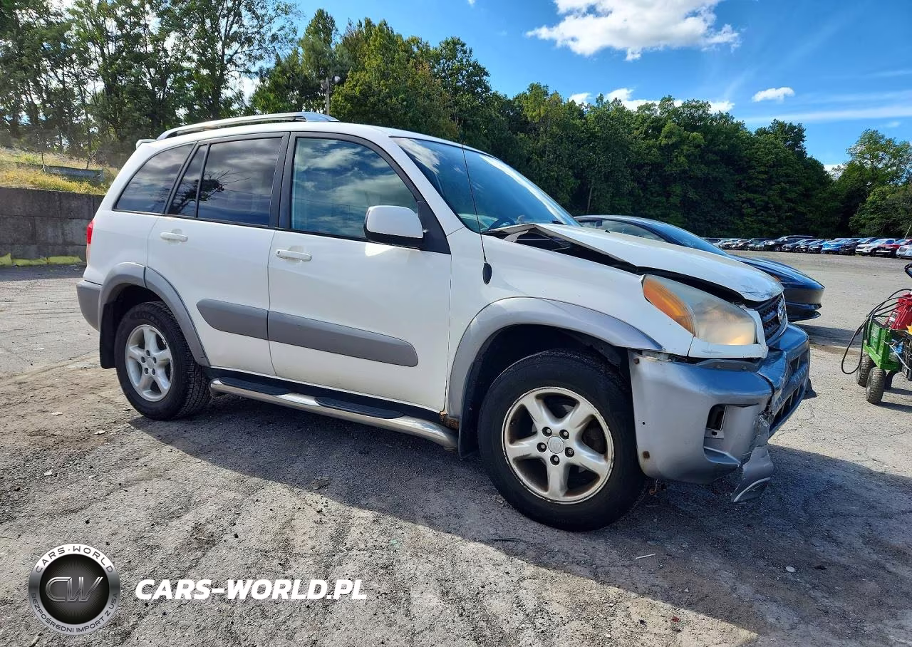 2001 Toyota Rav4 Base VIN:JTEHH20V716009873 - 4
