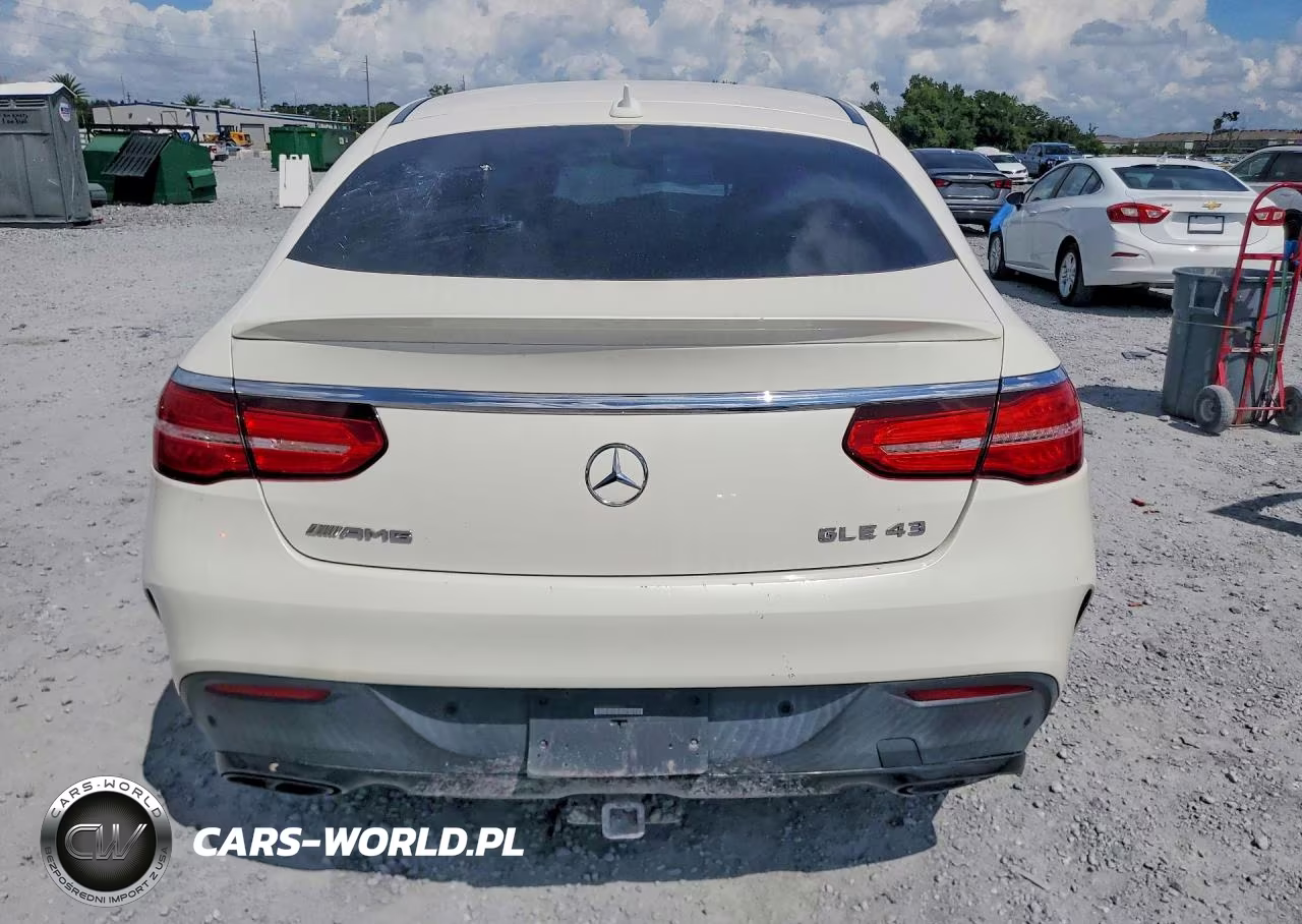 2019 Mercedes-Benz Gle Coupe 43 Amg VIN:4JGED6EB3KA139023 - 6