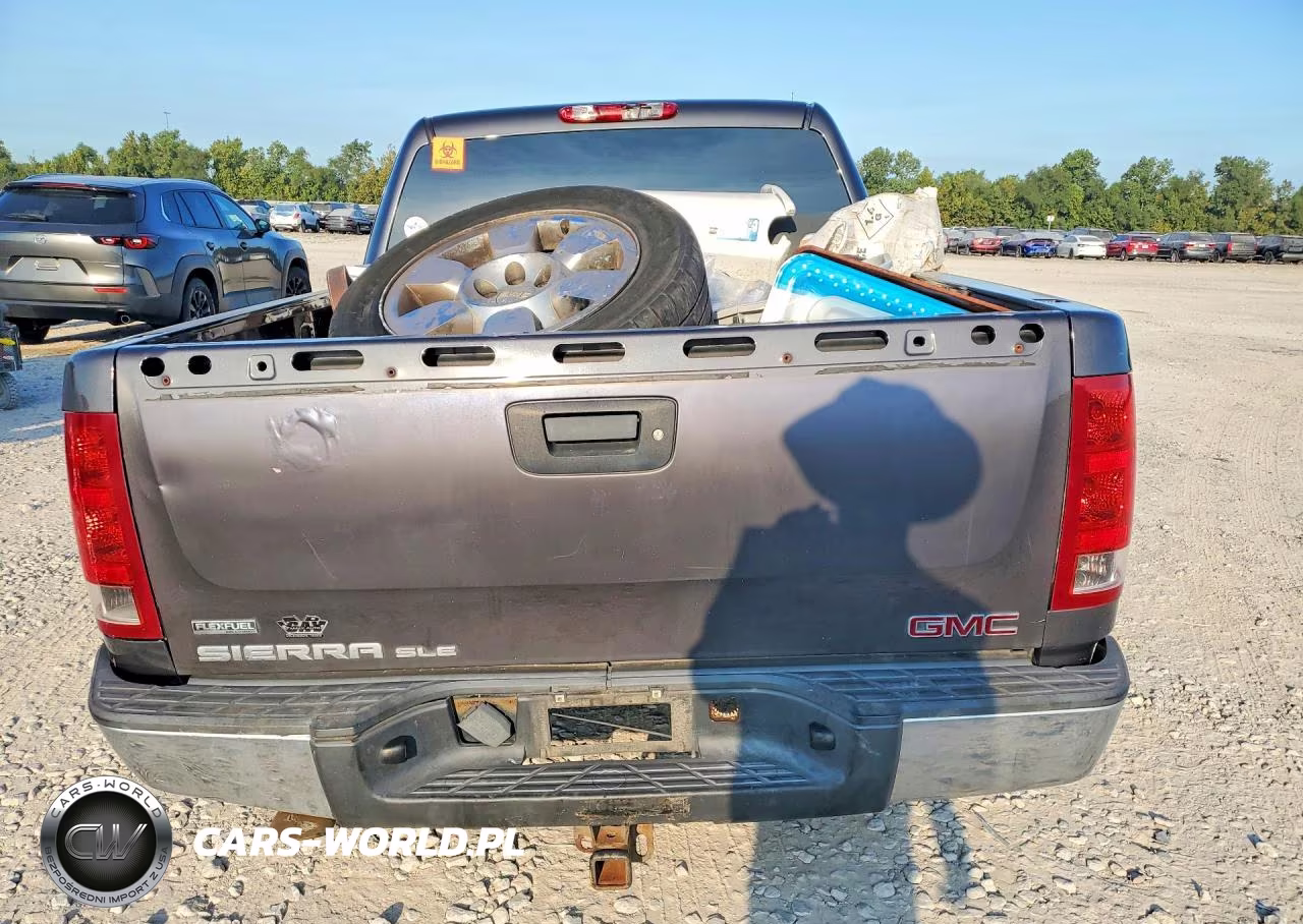 2010 GMC Sierra C1500 Sle VIN:3GTRCVE07AG255472 - 6