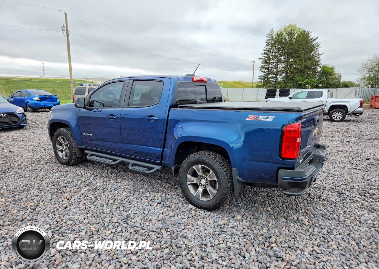 2019 Chevrolet Colorado Z71 VIN:1GCGTDEN6K1324309 - 2