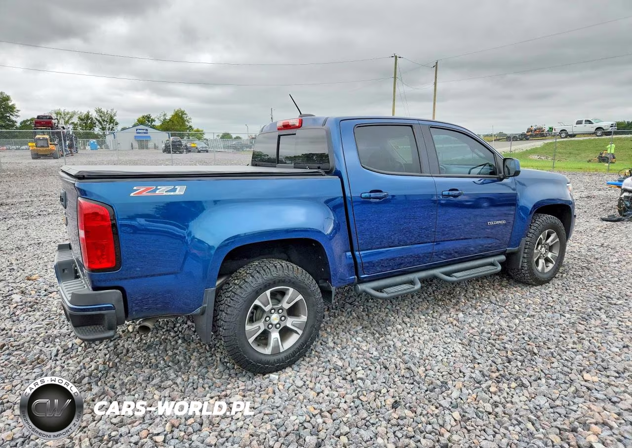 2019 Chevrolet Colorado Z71 VIN:1GCGTDEN6K1324309 - 3