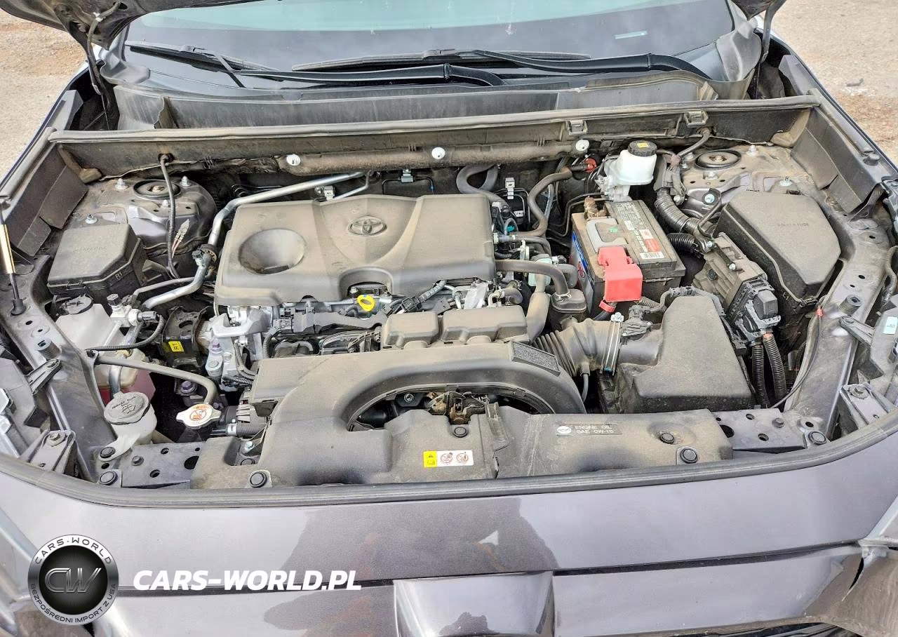 2019 Toyota Rav4 Le VIN:2T3H1RFV4KW041124 - 12