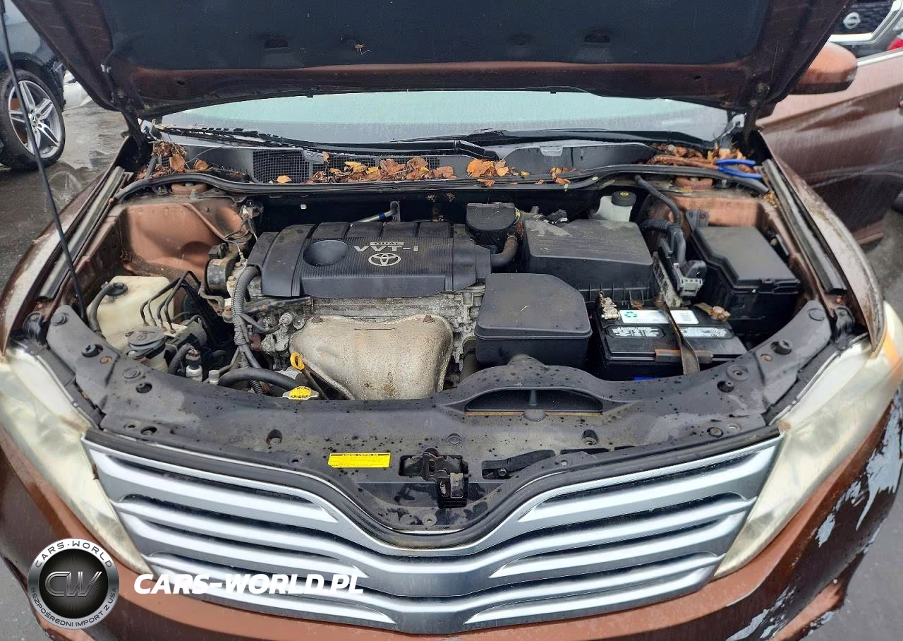 2009 Toyota Venza Fwd 4Cyl VIN:4T3ZE11A59U013910 - 12