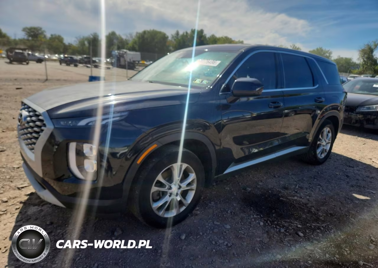 2020 Hyundai Palisade Se VIN:KM8R14HE9LU065367 - 1