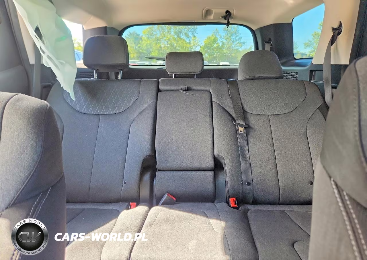 2020 Hyundai Palisade Se VIN:KM8R14HE9LU065367 - 10