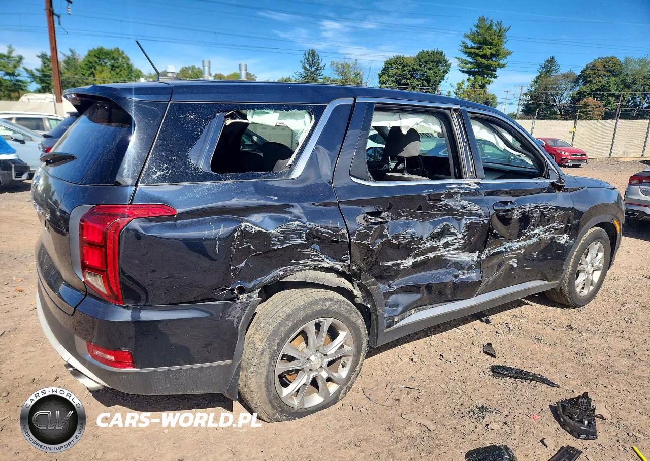 2020 Hyundai Palisade Se VIN:KM8R14HE9LU065367 - 3