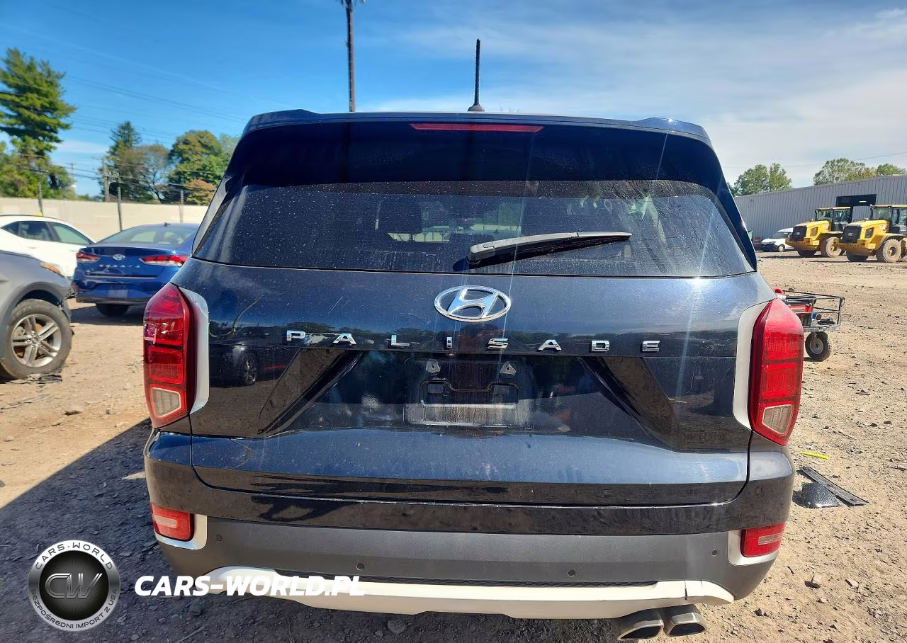 2020 Hyundai Palisade Se VIN:KM8R14HE9LU065367 - 6