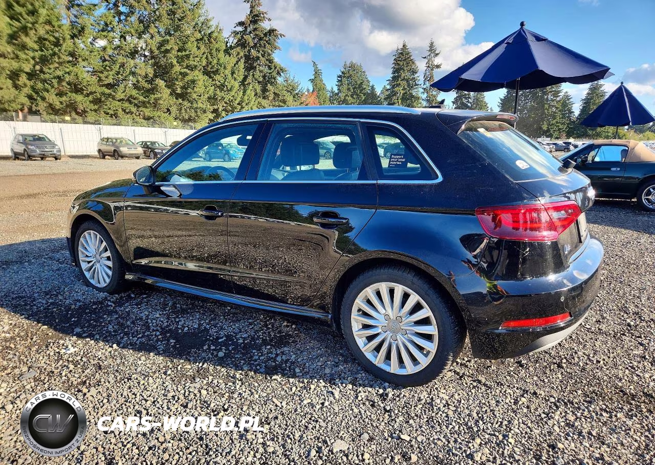 2016 Audi A3 E-Tron Premium Plus VIN:WAUTPBFF7GA115003 - 2