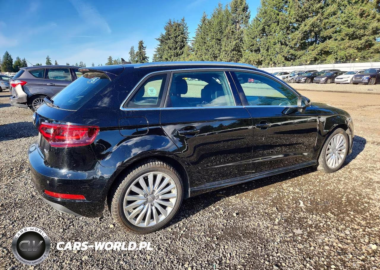 2016 Audi A3 E-Tron Premium Plus VIN:WAUTPBFF7GA115003 - 3