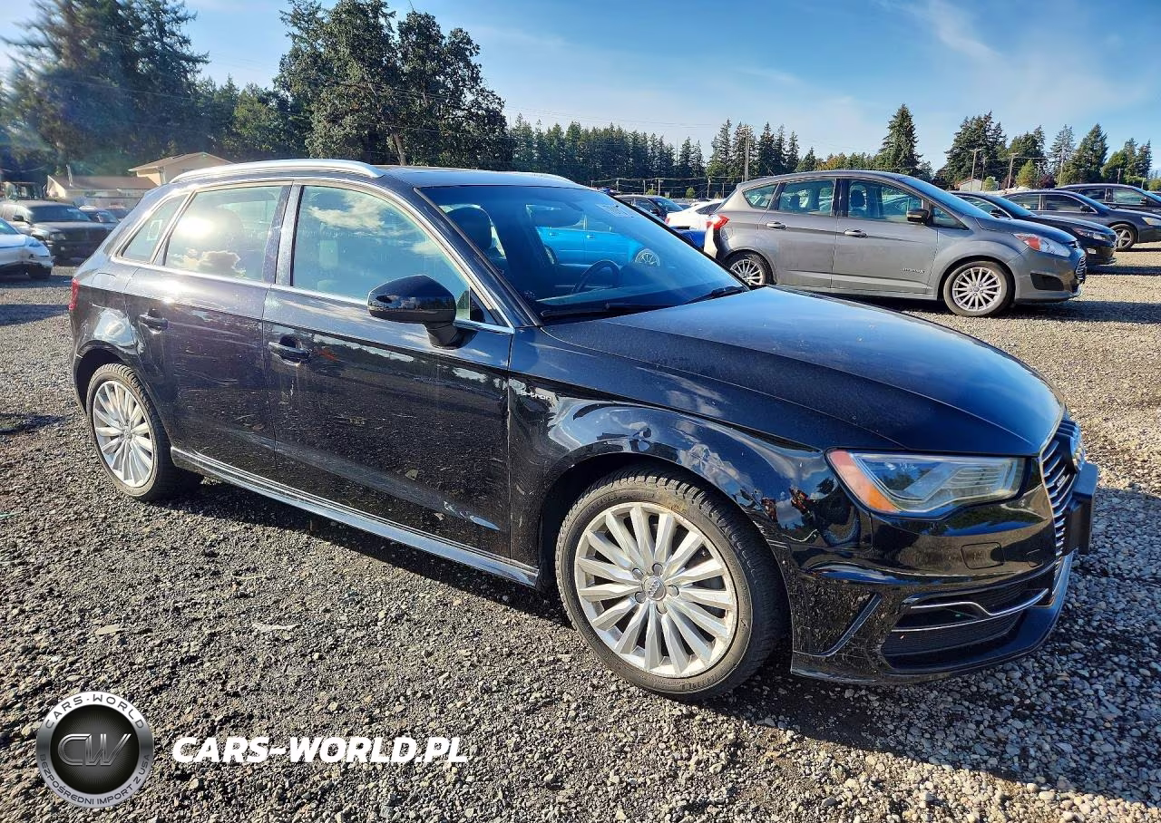 2016 Audi A3 E-Tron Premium Plus VIN:WAUTPBFF7GA115003 - 4