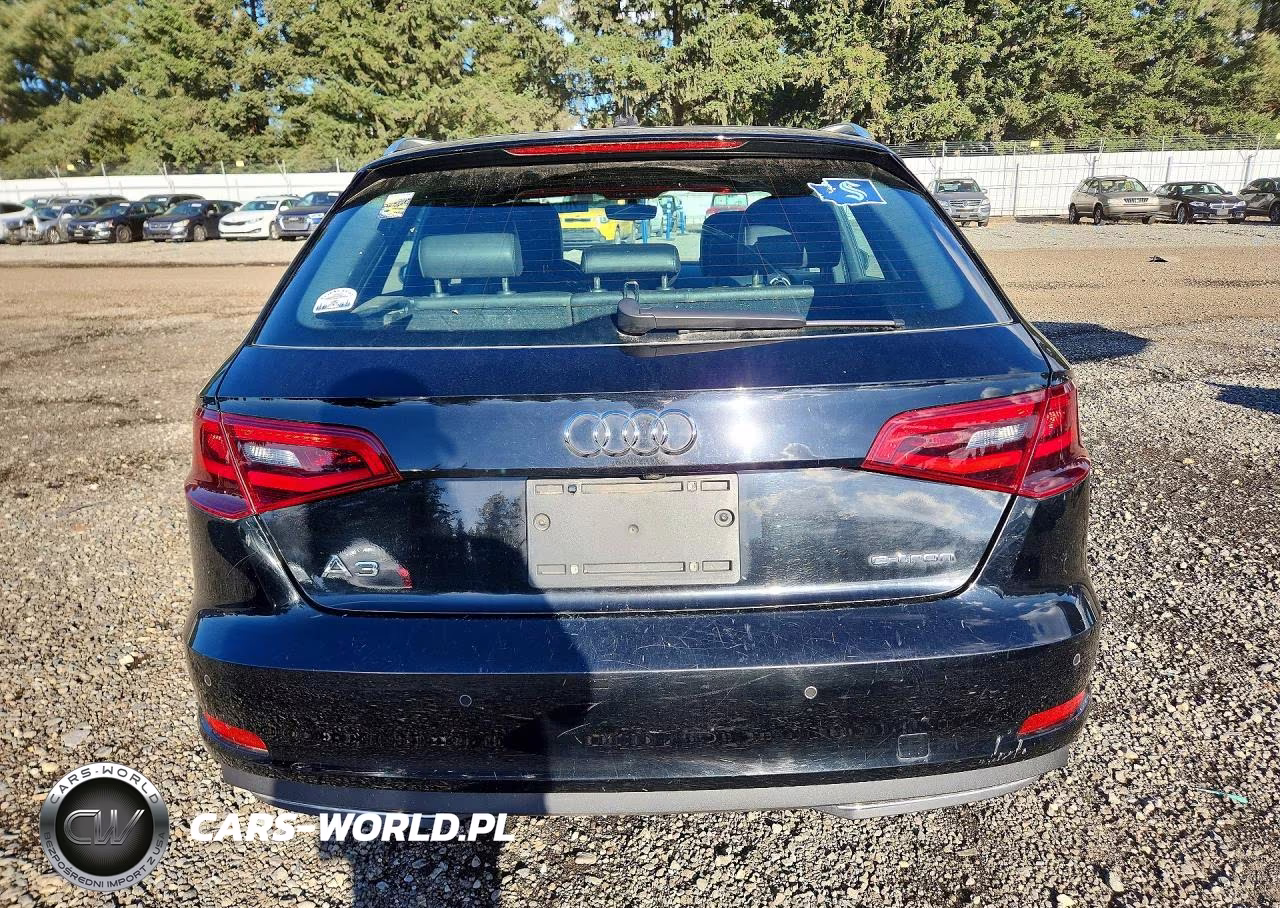 2016 Audi A3 E-Tron Premium Plus VIN:WAUTPBFF7GA115003 - 6