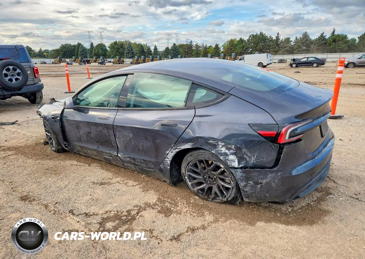 2025 Tesla Model 3 VIN:5YJ3E1EA3SF917007 - 2