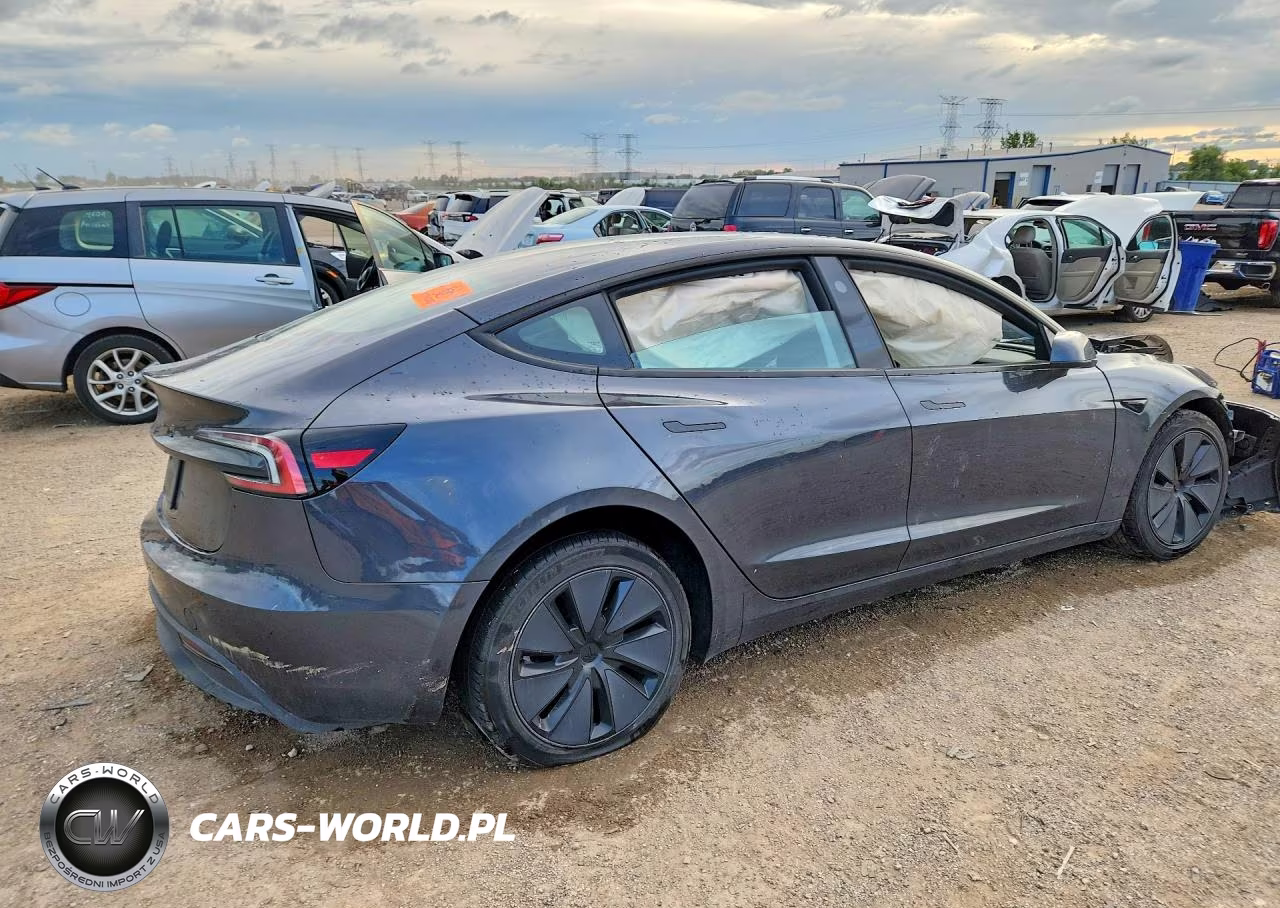 2025 Tesla Model 3 VIN:5YJ3E1EA3SF917007 - 3