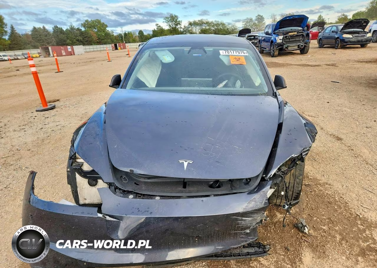 2025 Tesla Model 3 VIN:5YJ3E1EA3SF917007 - 5