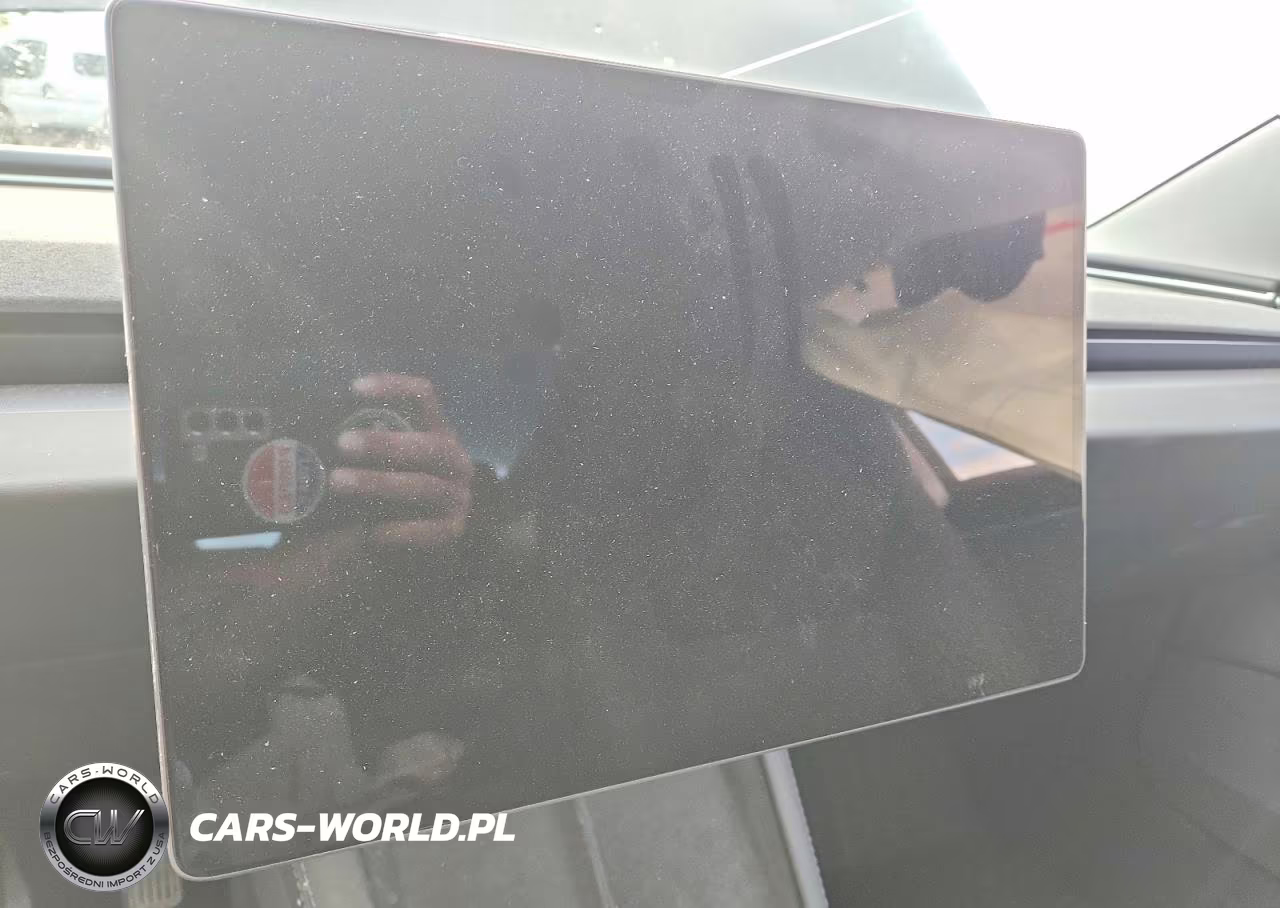 2025 Tesla Model 3 VIN:5YJ3E1EA3SF917007 - 9