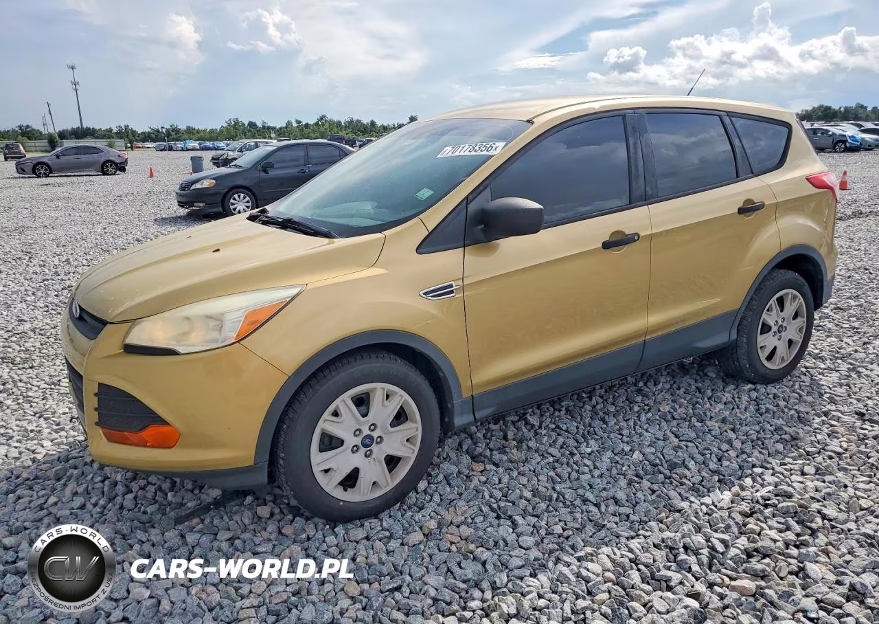 2014 Ford Escape S VIN:1FMCU0F76EUC98331 - 1