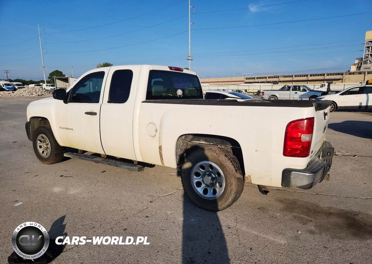 2010 Chevrolet Silverado C1500 VIN:1GCSCPE04AZ206789 - 2