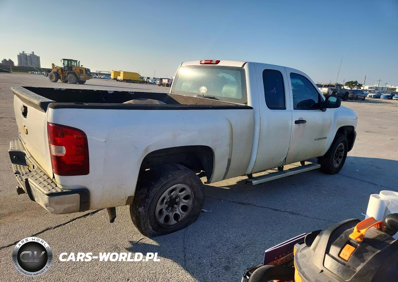 2010 Chevrolet Silverado C1500 VIN:1GCSCPE04AZ206789 - 3