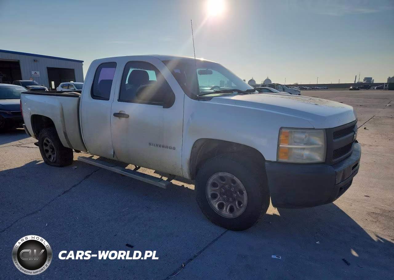 2010 Chevrolet Silverado C1500 VIN:1GCSCPE04AZ206789 - 4