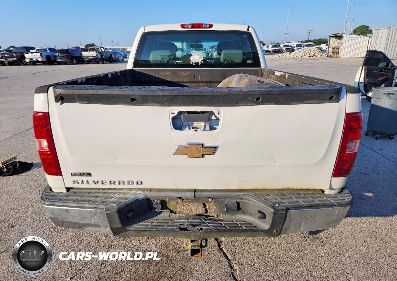 2010 Chevrolet Silverado C1500 VIN:1GCSCPE04AZ206789 - 6
