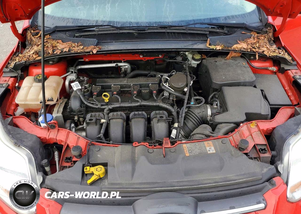 2014 Ford Focus Se VIN:1FADP3F27EL433513 - 11
