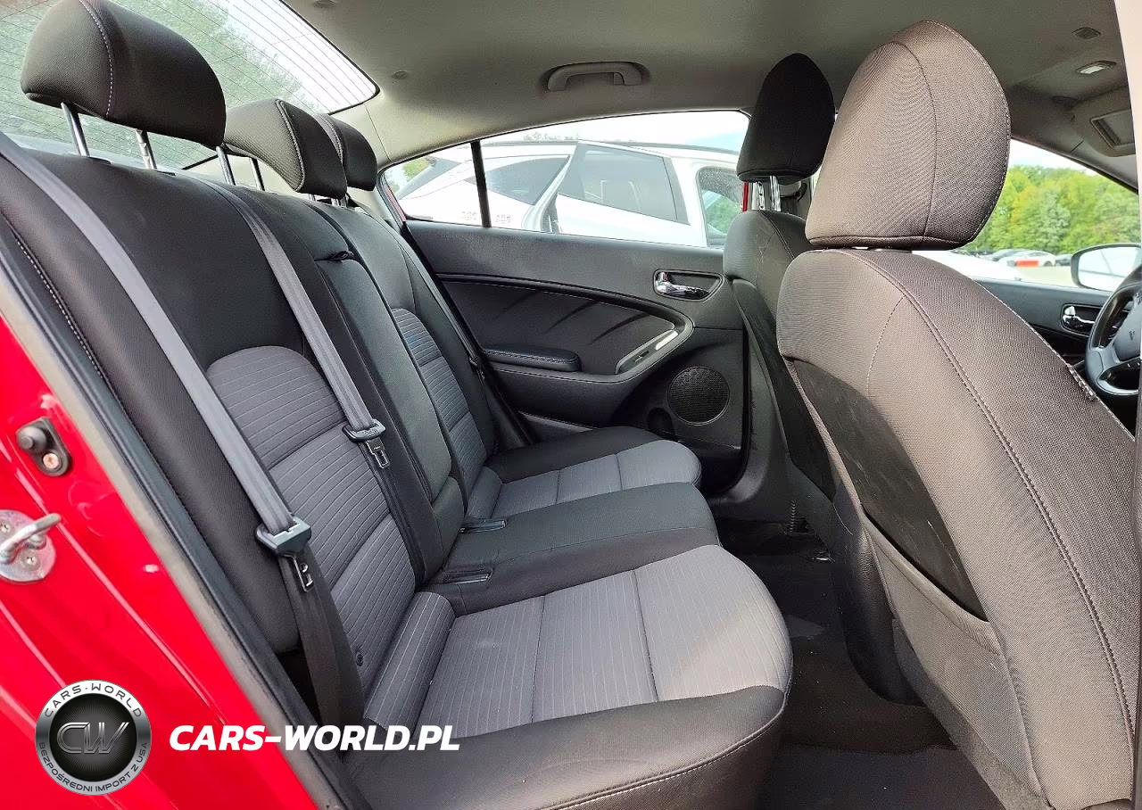 2015 Kia Forte Lx VIN:KNAFX4A67F5427149 - 10