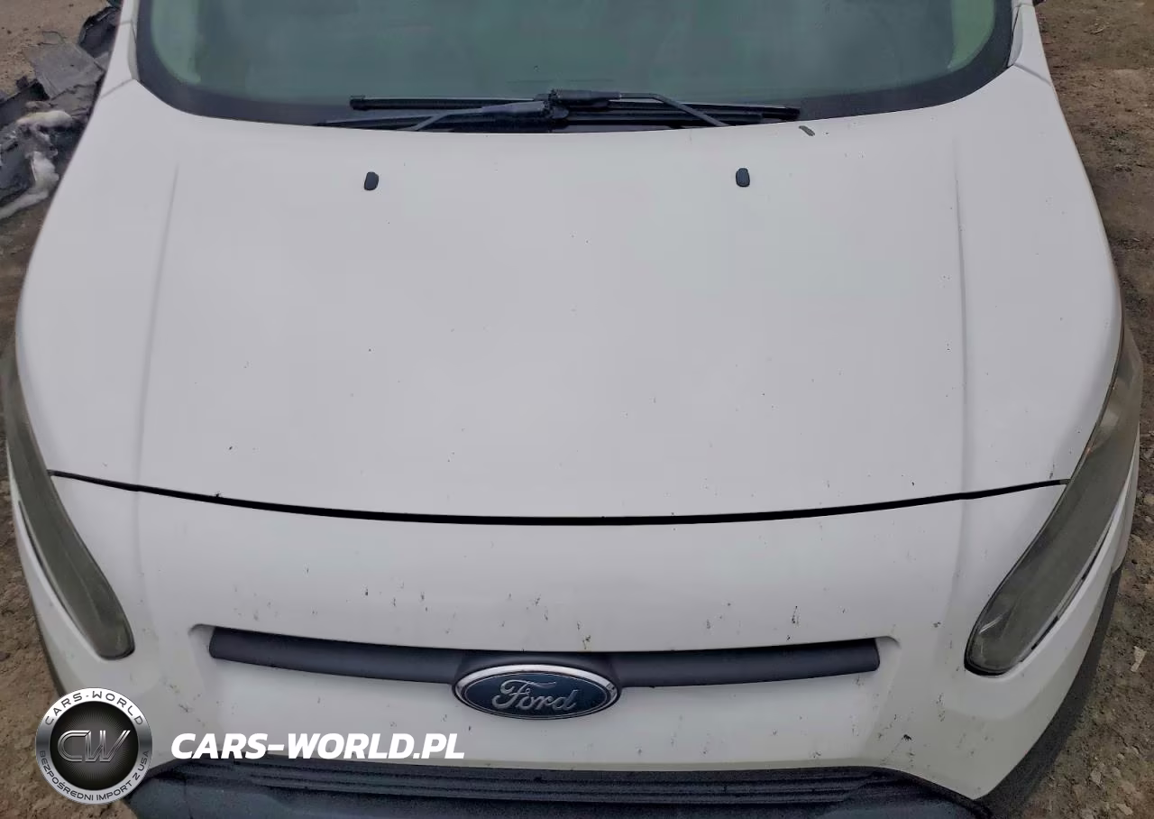 2017 Ford Transit Connect Xl VIN:NM0LS7E75H1295606 - 12