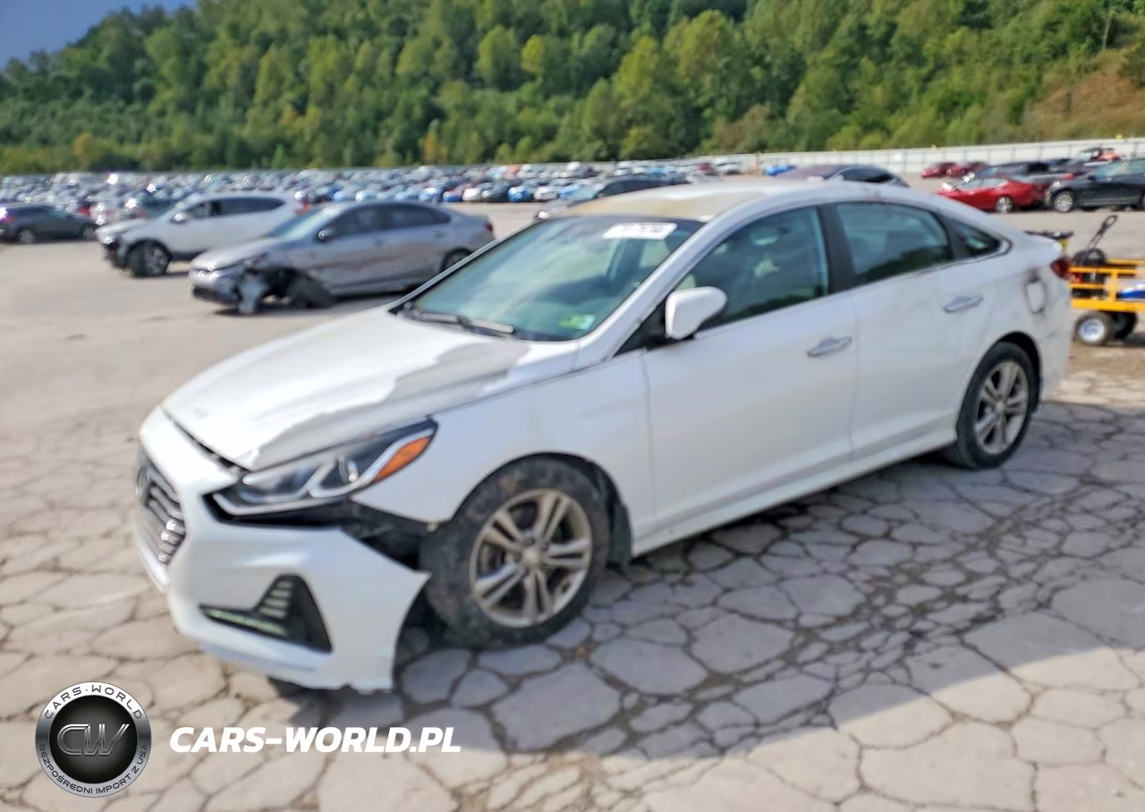 2018 Hyundai Sonata Sel VIN:5NPE34AF7JH684542 - 1