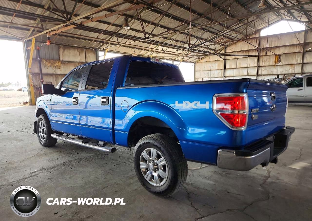 2010 Ford F150 Supercrew VIN:1FTFW1EV3AFB37578 - 2