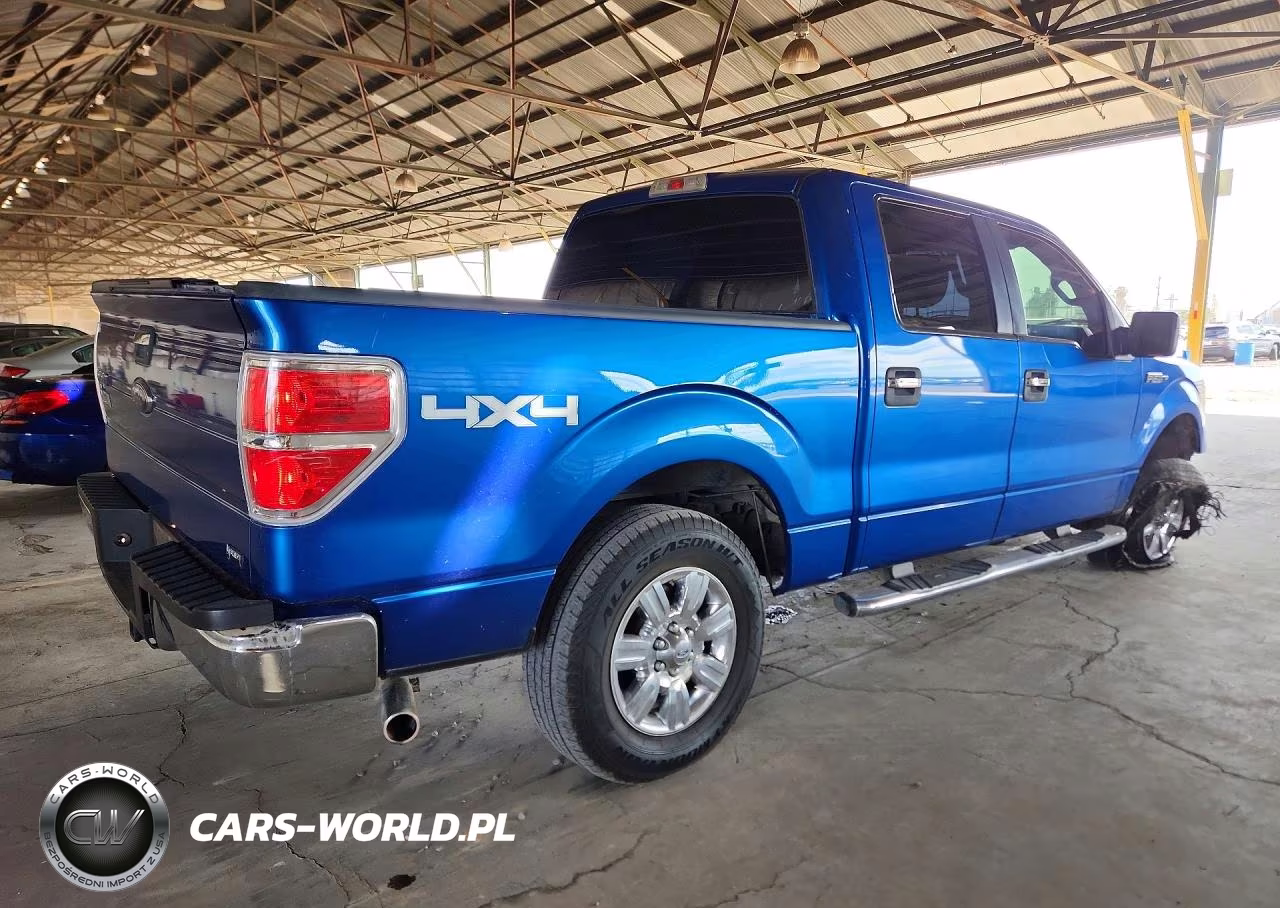2010 Ford F150 Supercrew VIN:1FTFW1EV3AFB37578 - 3