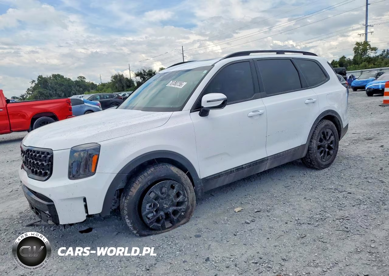 2024 Kia Telluride Sx X-Pro VIN:5XYP5DGC3RG414369 - 1