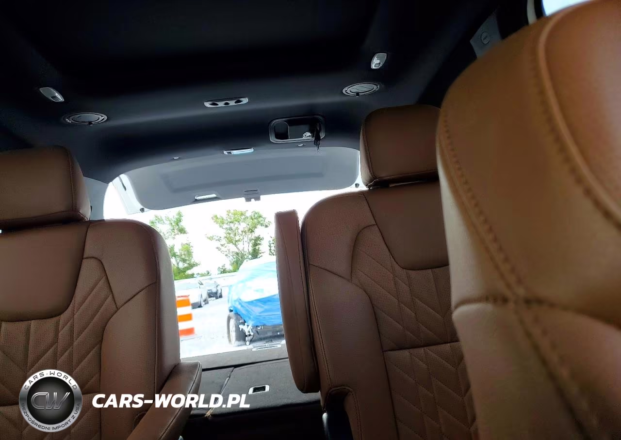 2024 Kia Telluride Sx X-Pro VIN:5XYP5DGC3RG414369 - 10
