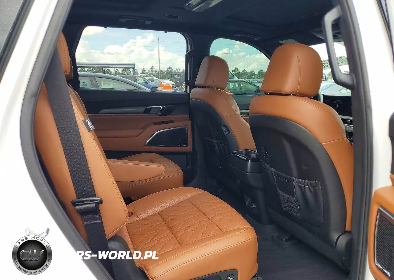 2024 Kia Telluride Sx X-Pro VIN:5XYP5DGC3RG414369 - 11