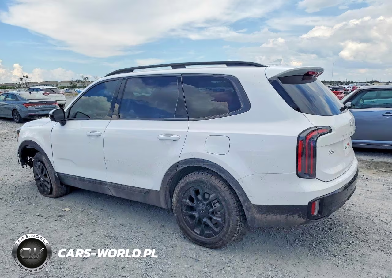 2024 Kia Telluride Sx X-Pro VIN:5XYP5DGC3RG414369 - 2