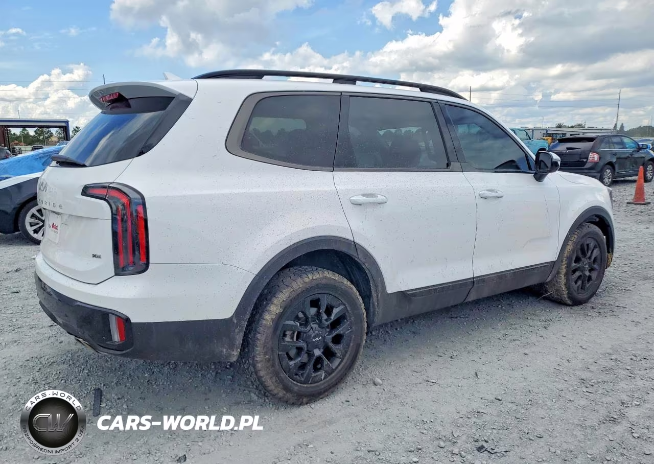 2024 Kia Telluride Sx X-Pro VIN:5XYP5DGC3RG414369 - 3
