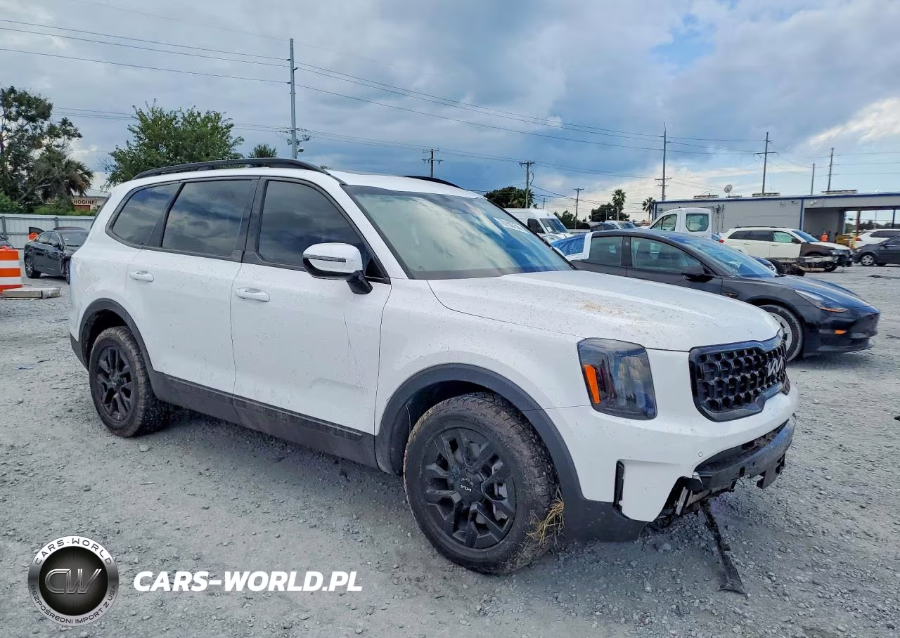 2024 Kia Telluride Sx X-Pro VIN:5XYP5DGC3RG414369 - 4