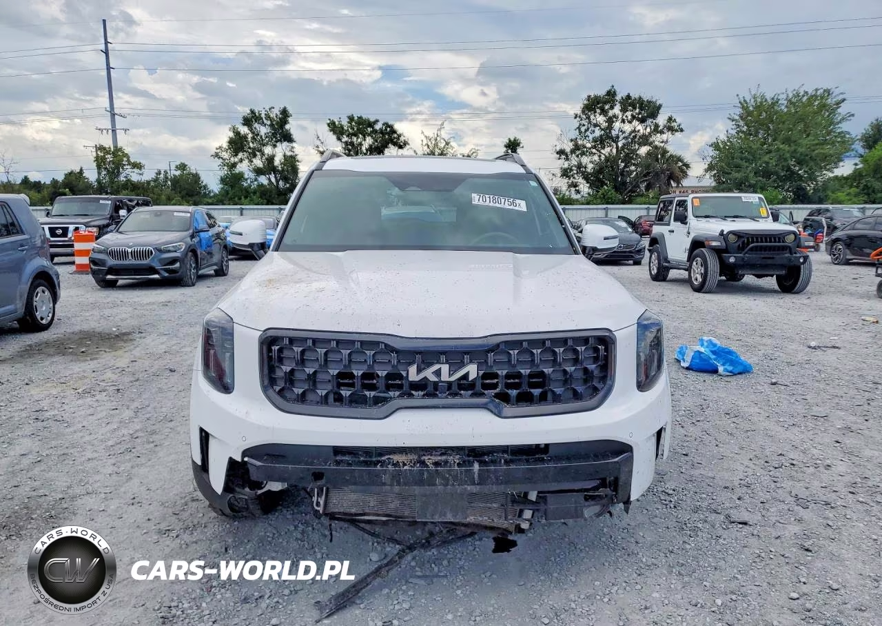 2024 Kia Telluride Sx X-Pro VIN:5XYP5DGC3RG414369 - 5