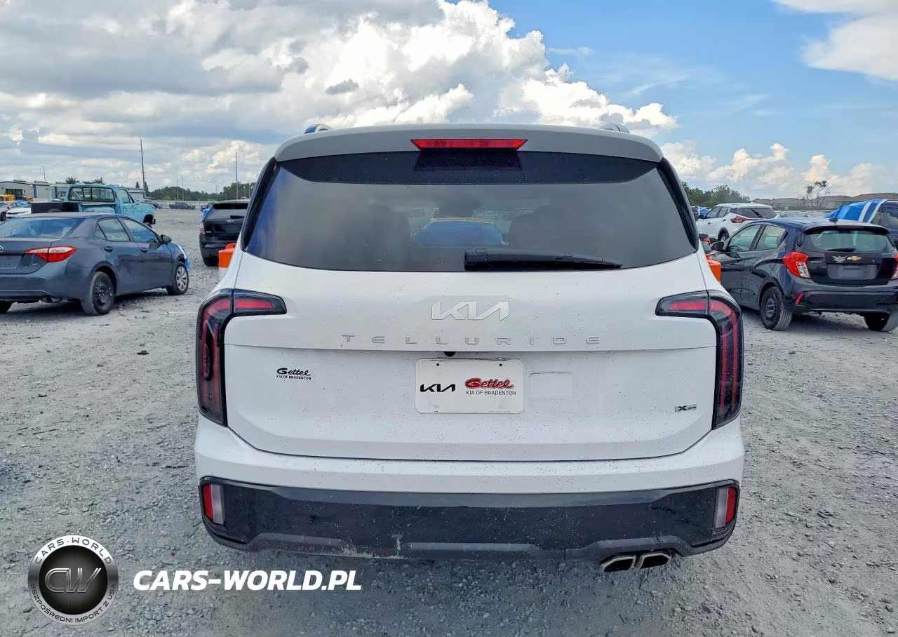 2024 Kia Telluride Sx X-Pro VIN:5XYP5DGC3RG414369 - 6