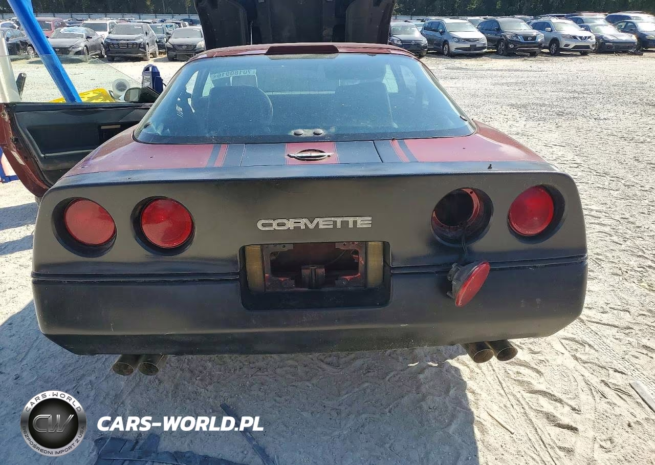 1987 Chevrolet Corvette VIN:1G1YY2184H5110469 - 10