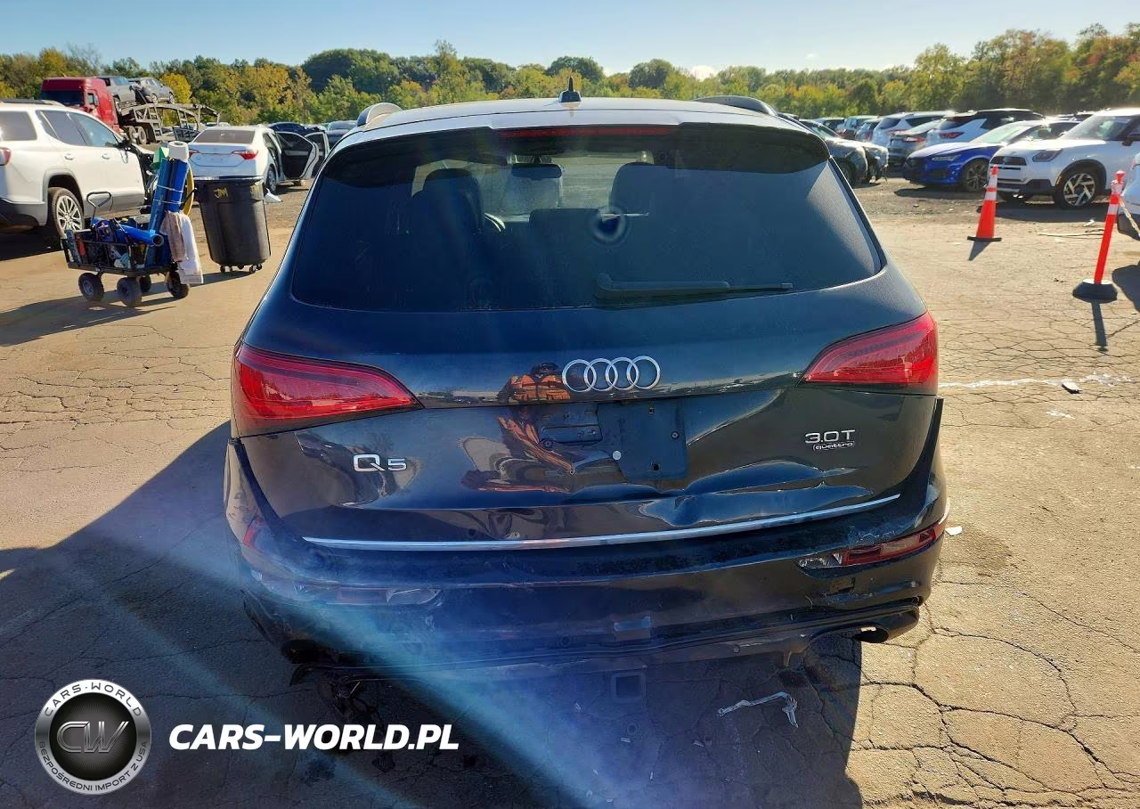 2017 Audi Sq5 Premium Plus VIN:WA1CCAFP2HA048730 - 6