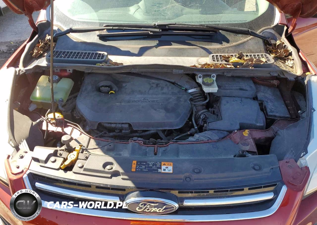 2014 Ford Escape Titanium VIN:1FMCU0JX3EUE09893 - 12