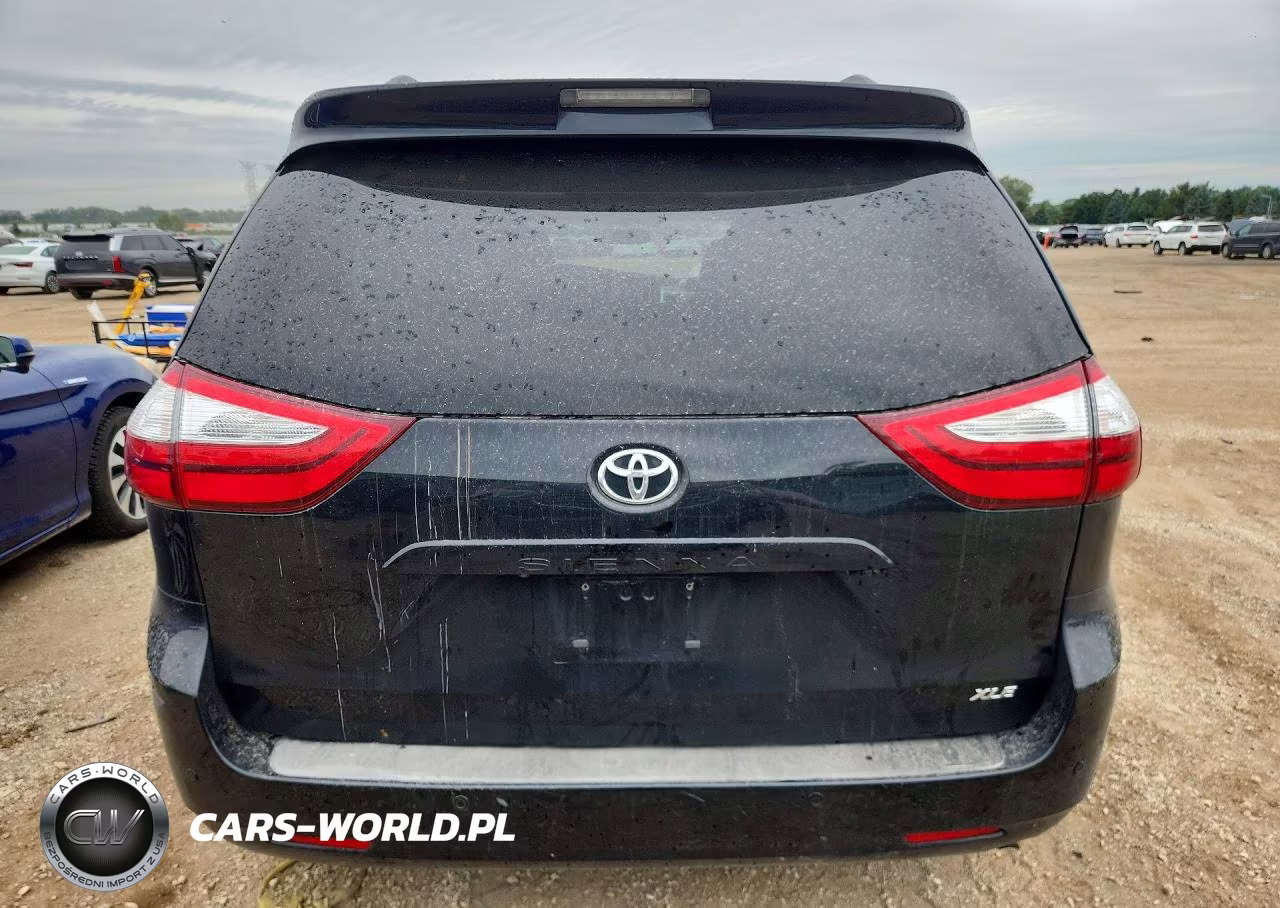 2017 Toyota Sienna Xle 8-Passenger VIN:5TDYZ3DC8HS863460 - 6